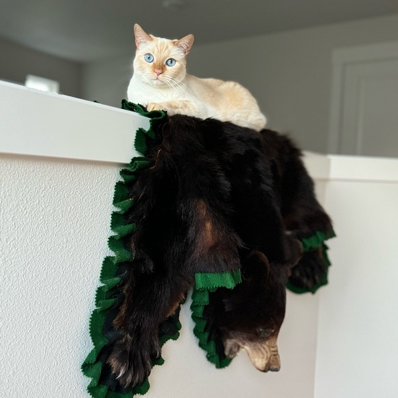 Meet your Posher, Jess - Picture 8 of 11